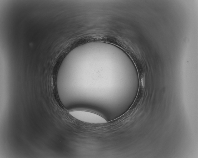 X0000114561347200910191003