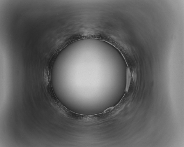 X0000114561348200910191003