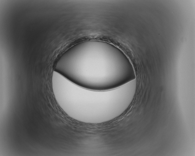 X0000114561349200910191003