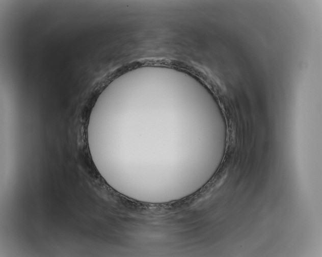 X0000114561350200910191003