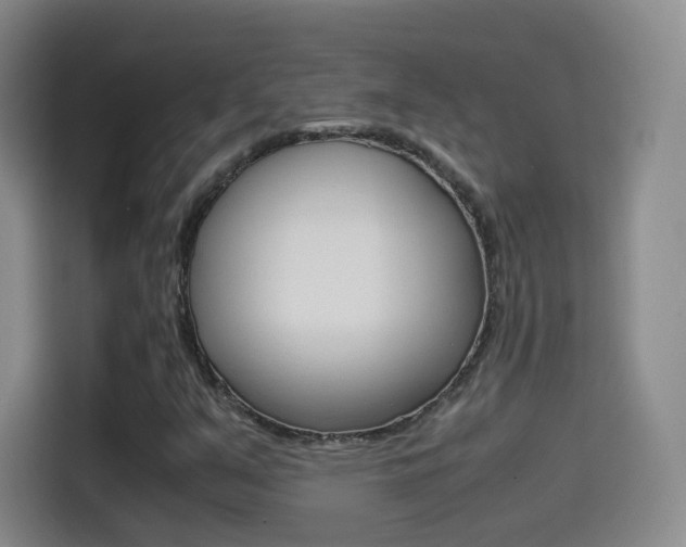 X0000114561351200910191003