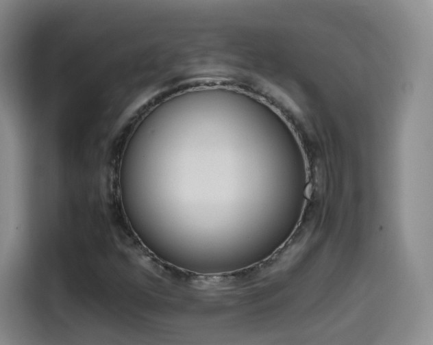 X0000114561352200910191003