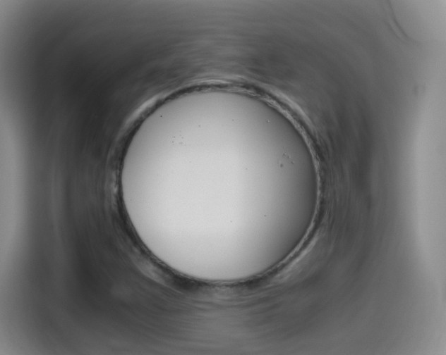 X0000114561355200910191003