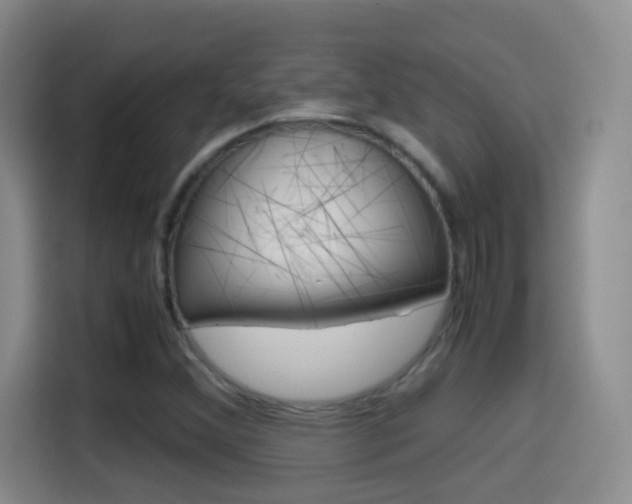 X0000114561356200910191003