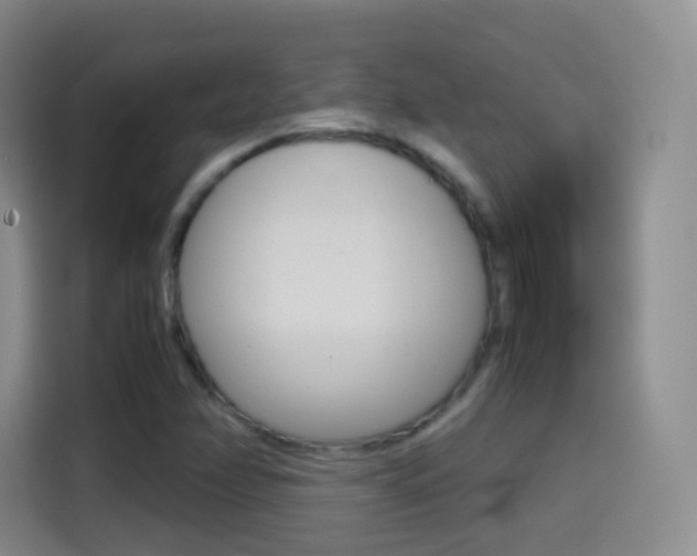 X0000114561358200910191003
