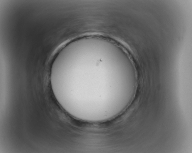 X0000114561359200910191003
