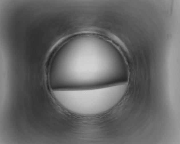 X0000114561360200910191003