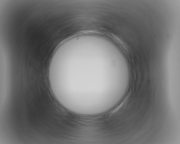 X0000114561361200910191003