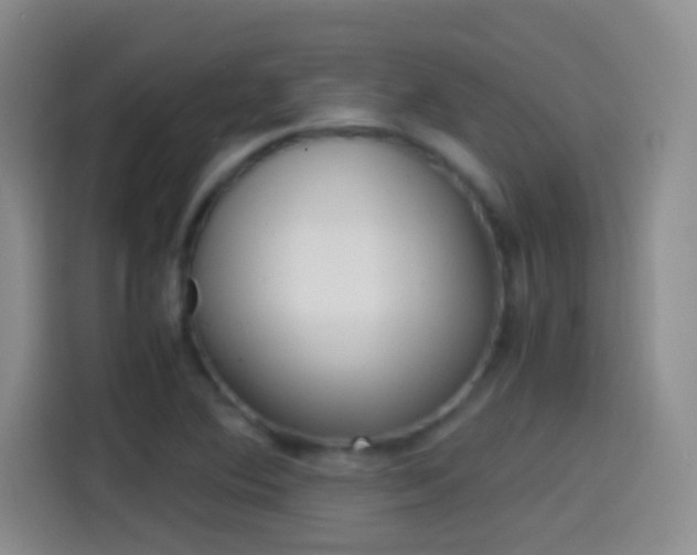 X0000114561364200910191003