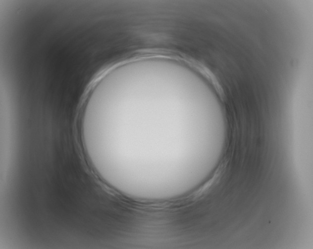 X0000114561365200910191003