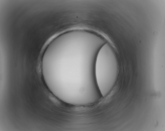 X0000114561366200910191003