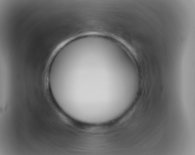 X0000114561367200910191003