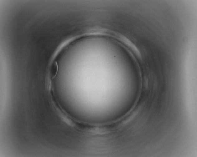 X0000114561368200910191003