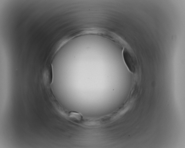 X0000114561369200910191003