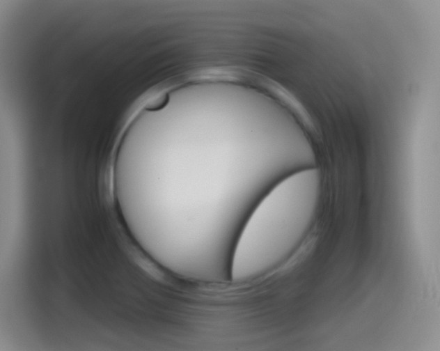 X0000114561370200910191003