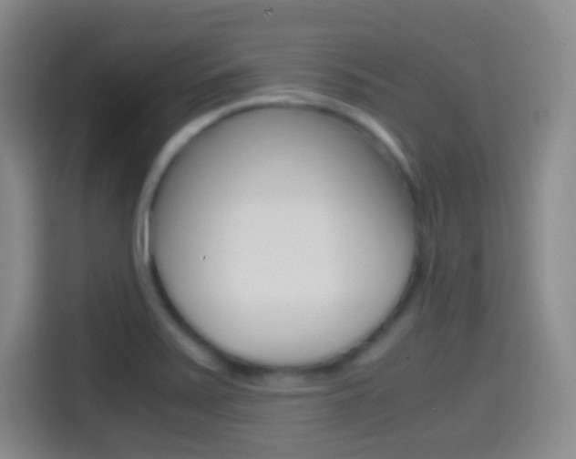 X0000114561371200910191003