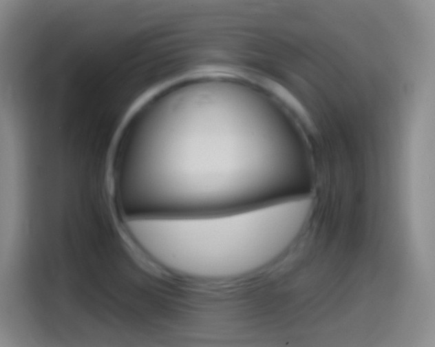 X0000114561372200910191003