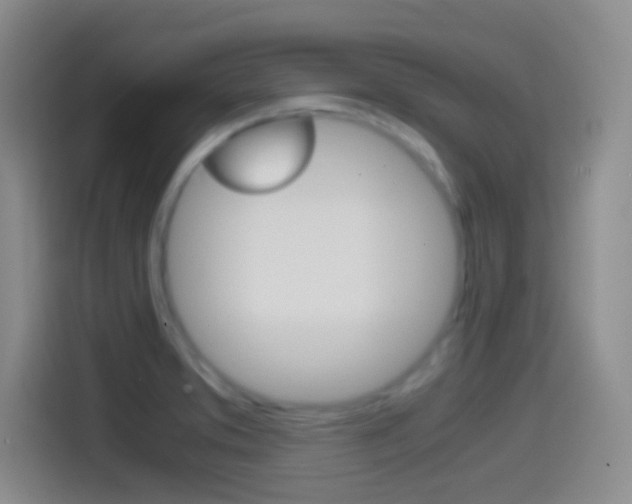 X0000114561373200910191003
