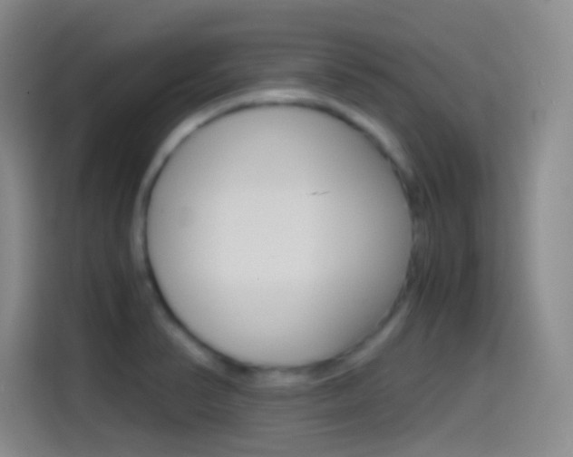 X0000114561374200910191003
