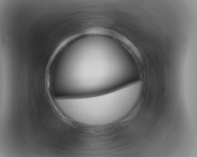 X0000114561376200910191003