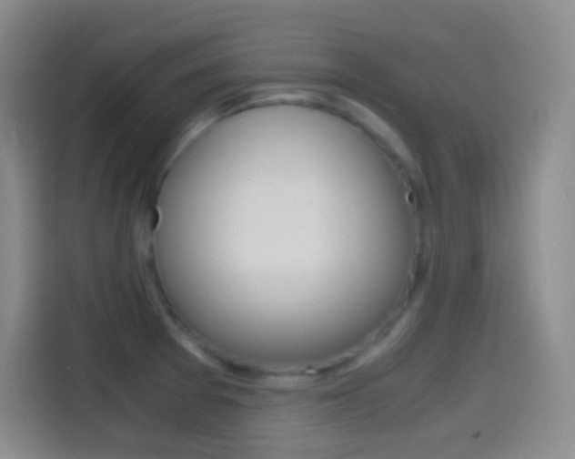 X0000114561377200910191003