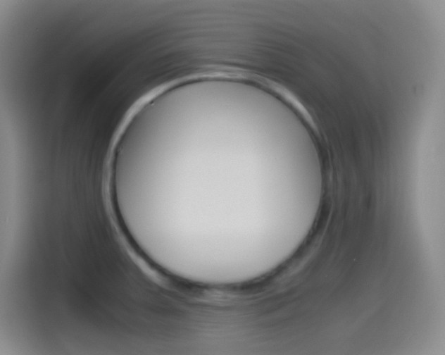 X0000114561379200910191003