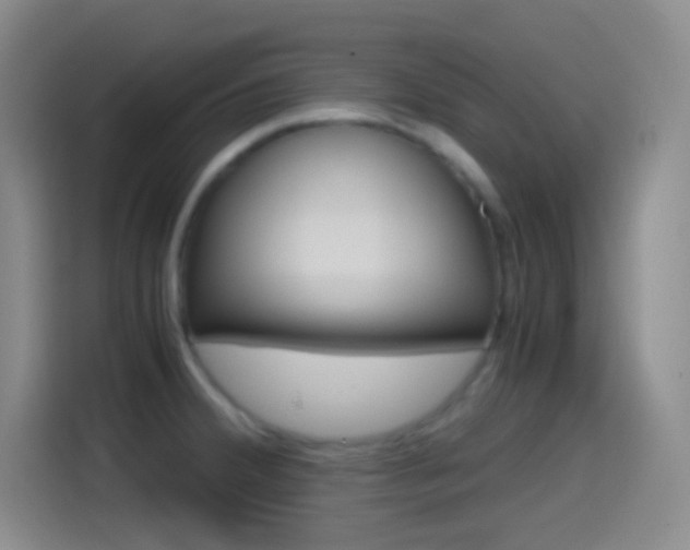 X0000114561380200910191003