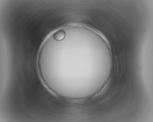 X0000114561381200910191003