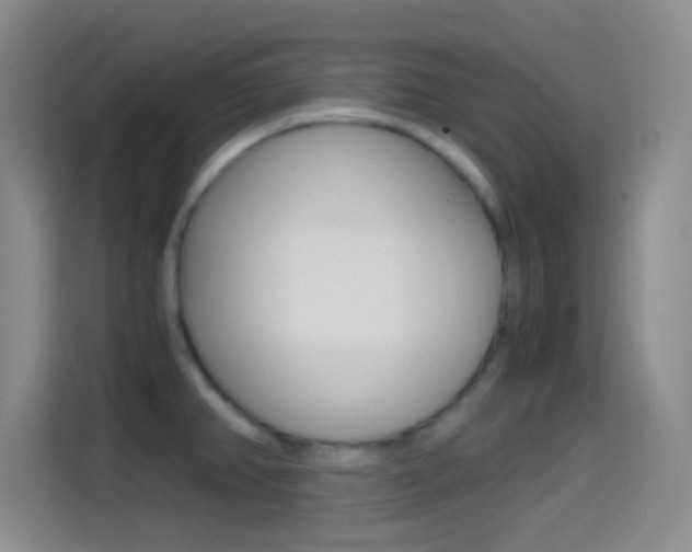 X0000114561382200910191003
