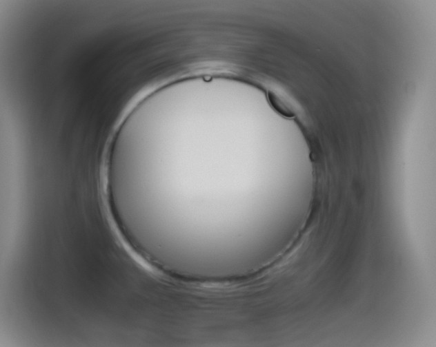 X0000114561383200910191003