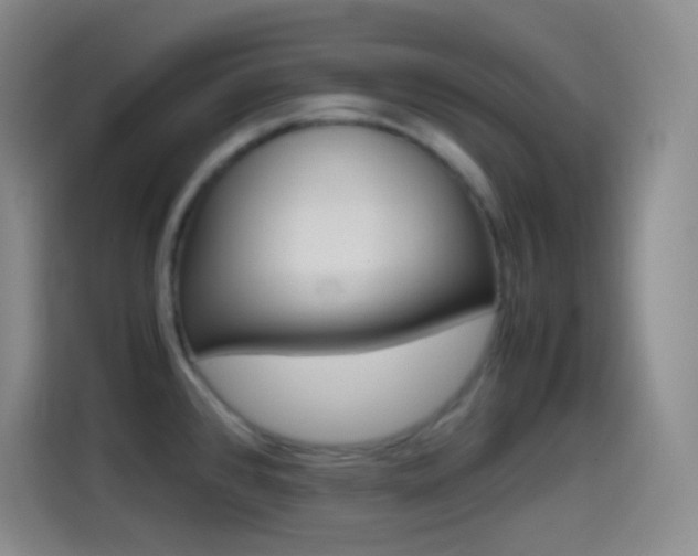 X0000114561384200910191003