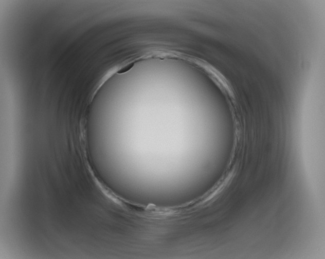 X0000114561385200910191002