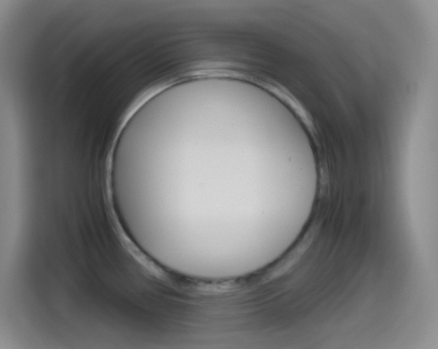 X0000114561386200910191002
