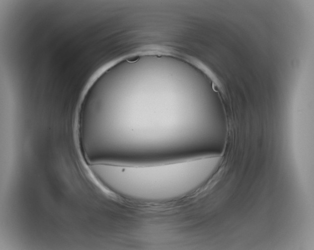 X0000114561387200910191002