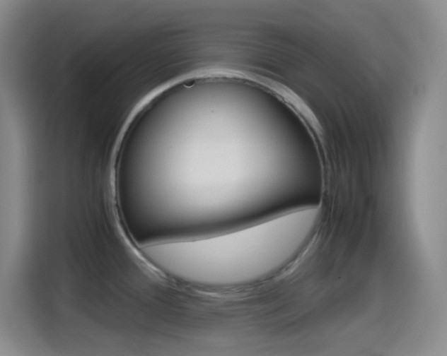 X0000114561388200910191002