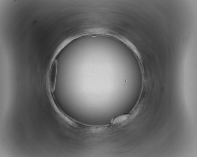 X0000114561389200910191002