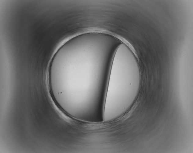 X0000114561391200910191002