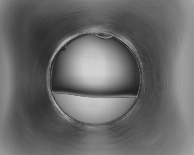 X0000114561392200910191002