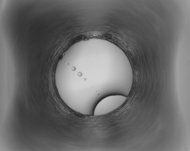 X0000114561393200910191002