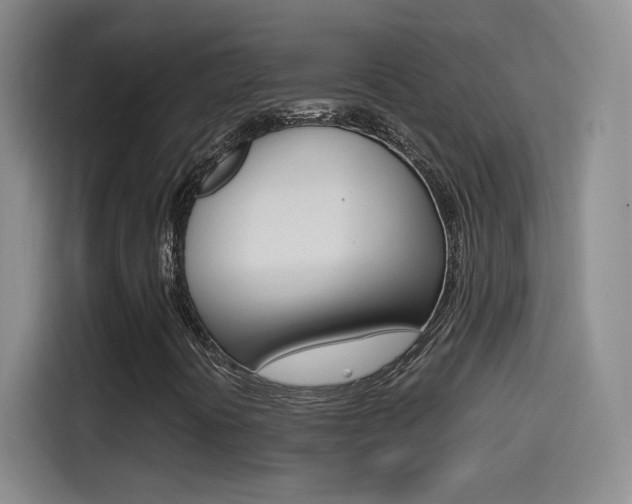 X0000114561394200910191002