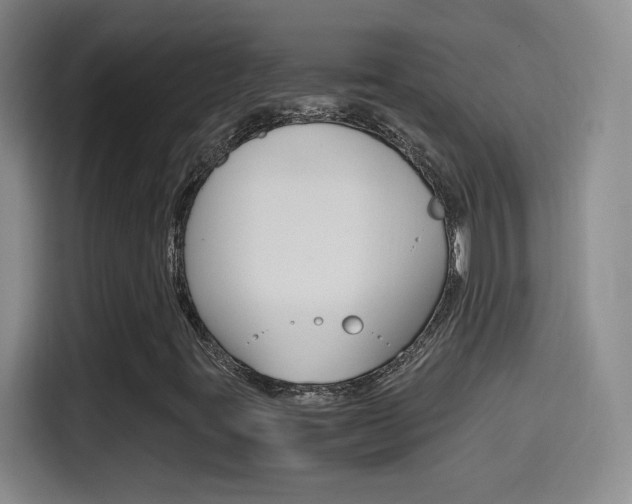 X0000114561395200910191002