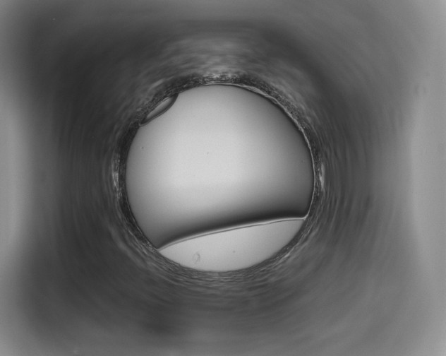 X0000114561396200910191002