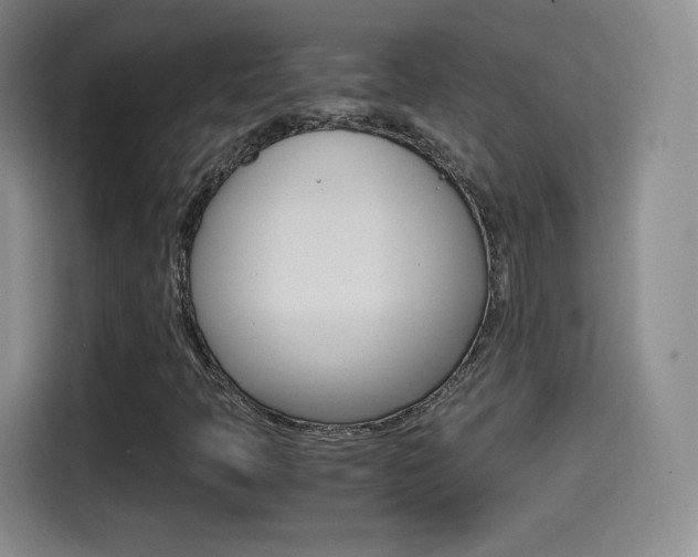 X0000114561397200910191002