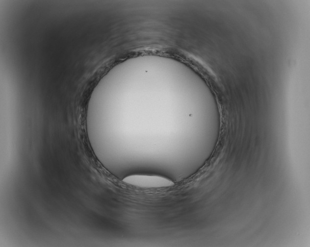 X0000114561399200910191002