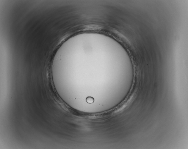 X0000114561401200910191002