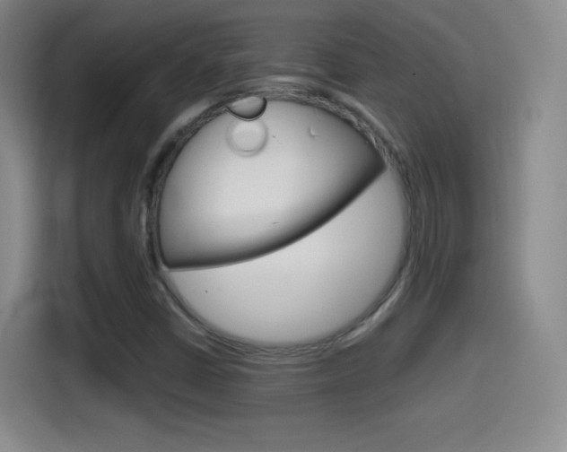 X0000114561402200910191002