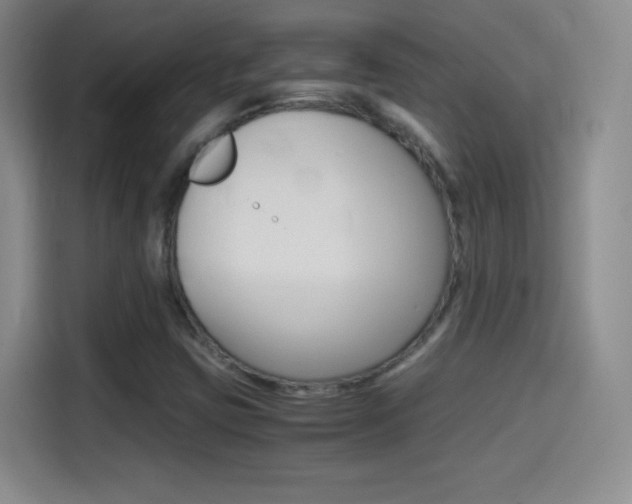 X0000114561403200910191002