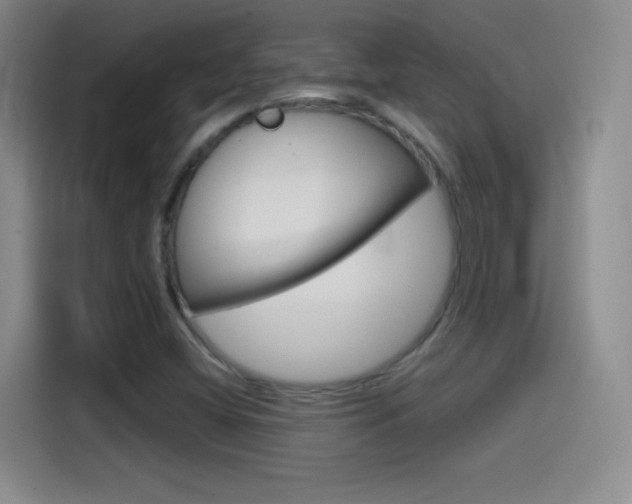 X0000114561404200910191002