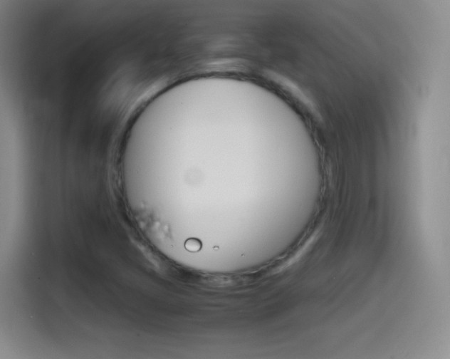 X0000114561405200910191002