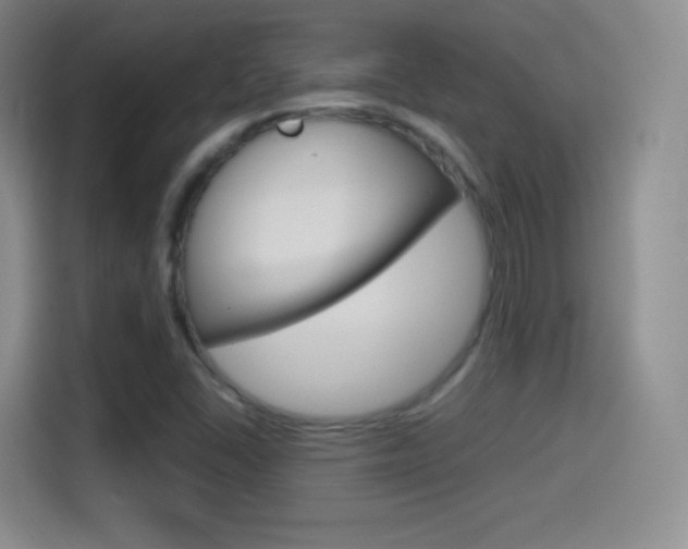 X0000114561406200910191002
